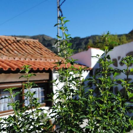 Ilusiones Villa Tejeda  Eksteriør bilde