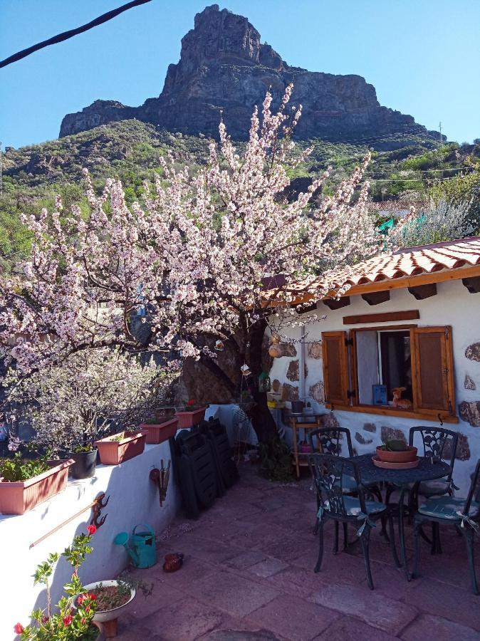 Ilusiones Villa Tejeda  Eksteriør bilde