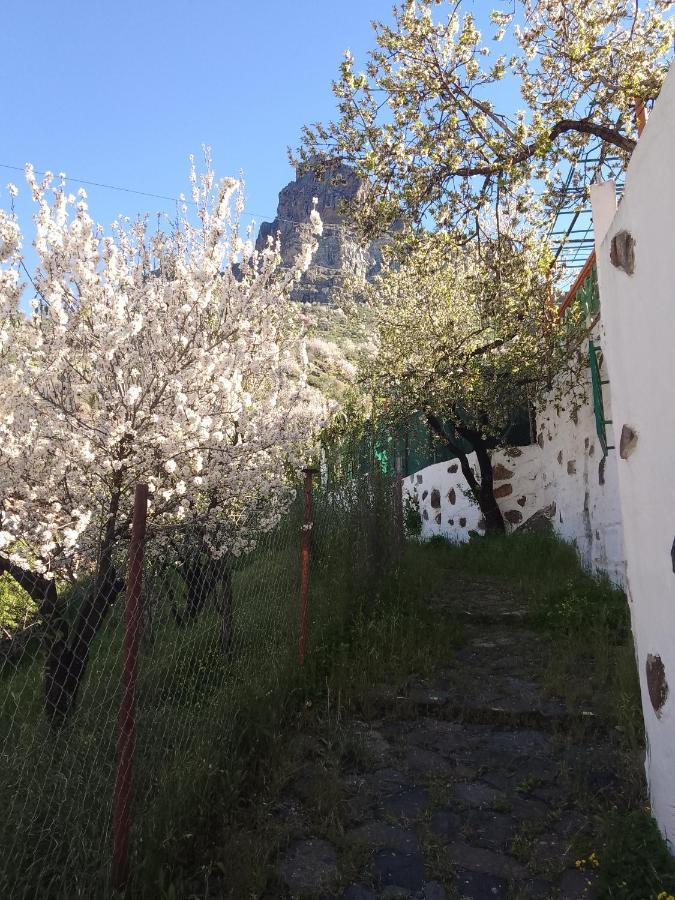 Ilusiones Villa Tejeda  Eksteriør bilde