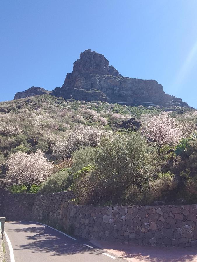 Ilusiones Villa Tejeda  Eksteriør bilde