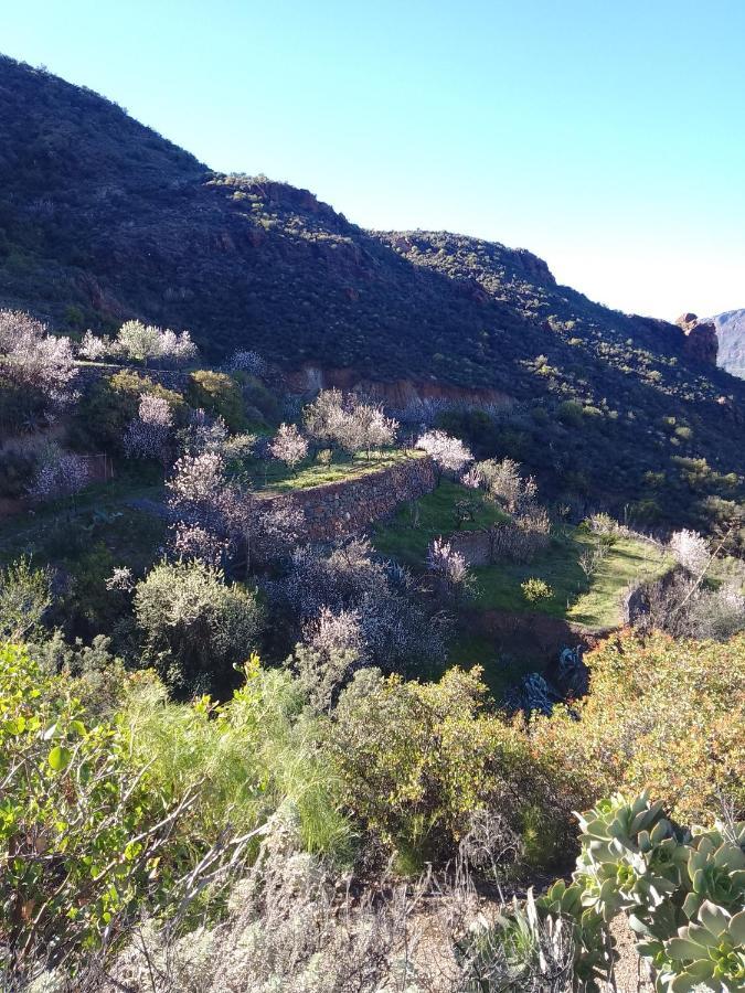 Ilusiones Villa Tejeda  Eksteriør bilde